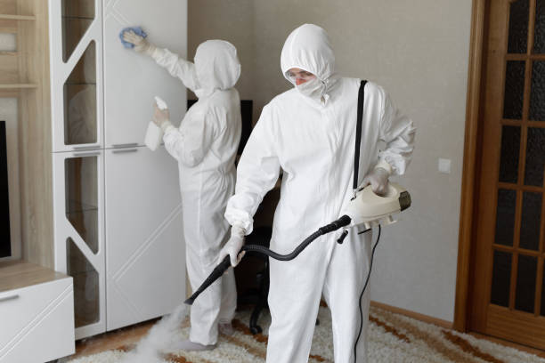 24/7 Emergency Odor Removal experts in Elmira, CA