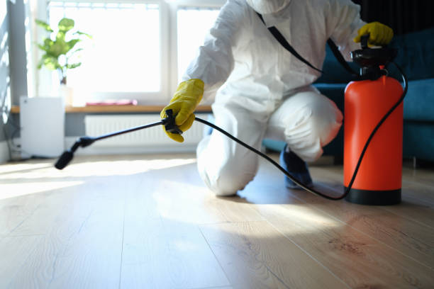 Reliable Odor Removal contractor in Elmira, CA by Trauma Clean Pros